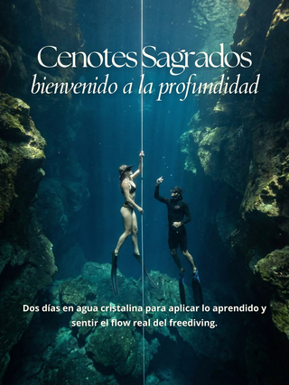 Beginner Freediving Course (AIDA 1 & 2) | 3 days