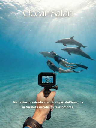 FREEDIVING RETREAT - San Andrés, Colombia | May 22-27, 2026