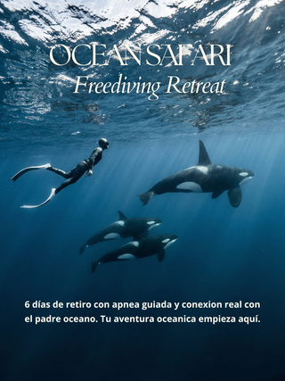 OCEAN SAFARI RETREAT