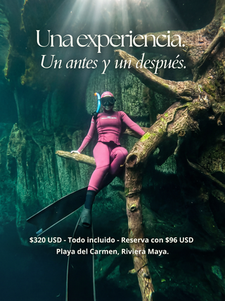 Cenote Content Creation Day