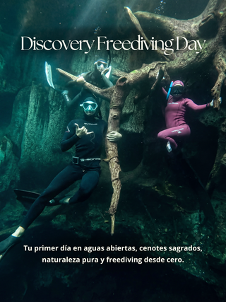 Cenote Content Creation Day