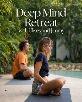 Deep Mind Experience